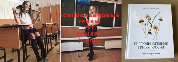 герыч Болотное
