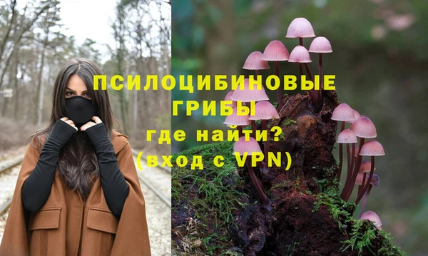 хмурый Алзамай