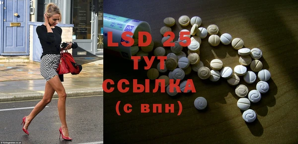 герыч Болотное
