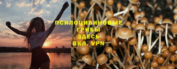 герыч Болотное
