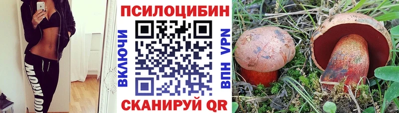 дарк нет Telegram  Инта  Галлюциногенные грибы Cubensis 